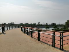 -丁香湖公园