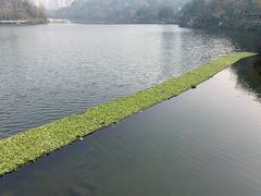 -重庆彩云湖湿地公园
