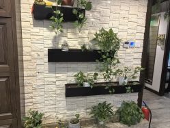 -青青一生美皮肤管理