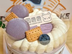 -圆鹿鹿·鲜果半糖蛋糕(常平店)