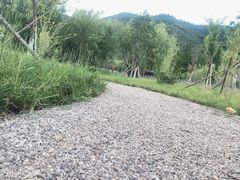 -青鱼湾水上乐园