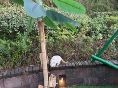 -天目湖涵田度假村