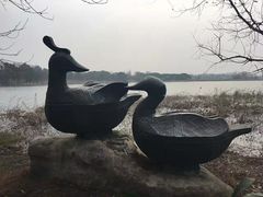 -东湖落雁景区