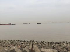 -上海滨江森林公园