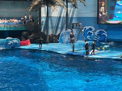 -海合安成都极地海洋公园