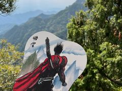 -王顺山国家森林公园