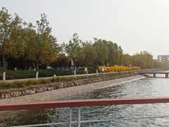 -天津金海湖