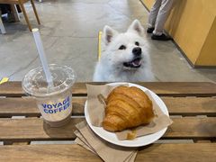 -VOYAGE COFFEE 咖啡烘焙工坊店(798艺术区店)