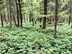 -硗碛藏寨·神木垒景区