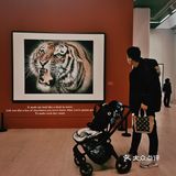 0元看展览！中国美术馆！来京必打卡！