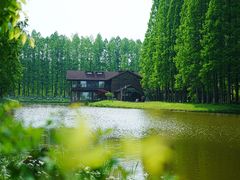 -黄海国家森林公园