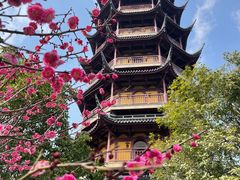 -红梅公园