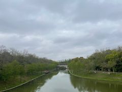 -上海海湾国家森林公园