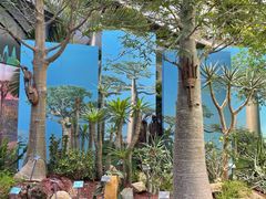 -北京植物园-展览温室