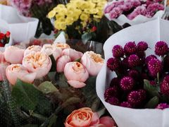 -三圣花乡旅游区