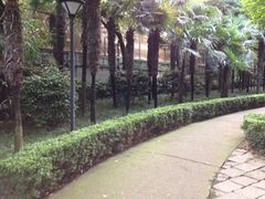 iphone_upload_pic-徐家汇源景区-衡山公园