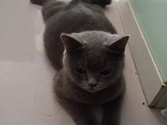-平行世界·猫咖(首经贸店)