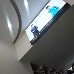 点击看大图 -黑奥秘脱发白发中心