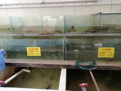 水产区-喜洋洋蟹庄(阳澄湖店)