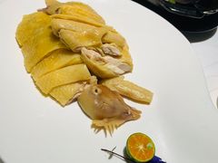 湛江白切扇鸡-菉雅苑·湛江菜(前海卓越INTOWN店)