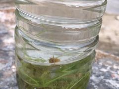 -百里峡七彩艺术小镇