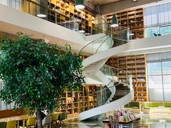 -西安电影制片厂