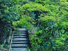 -广州白江湖森林公园