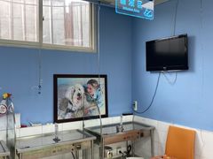 -北京博爱动物医院有限公司