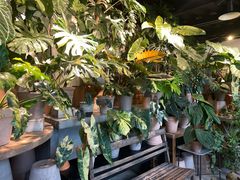 -自由生长植物工作室(深港花卉中心店)