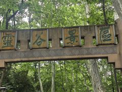 -灵谷景区