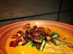 -柿合缘新京菜(国金中心商场店)