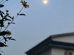 -西湖风景区十里琅珰-五云山