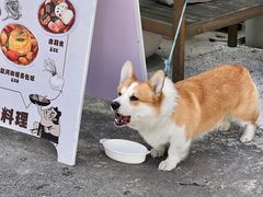 -肥朵食堂(带梦胡同店)