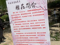 -西安青龙寺遗址景区