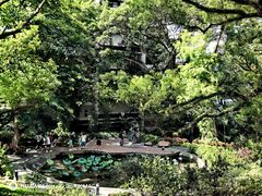 -香港大学