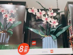 -乐高授权专卖店(中关村领展店)