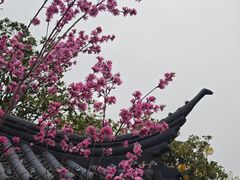 -凤城河风景区