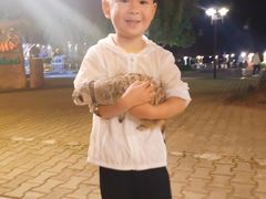 -清迈夜间动物园