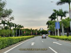 -环岛路木栈道