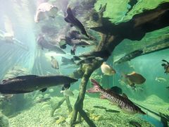 -多彩贵州城极地海洋世界