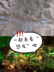 -恐龙探索乐园(磁器口店)