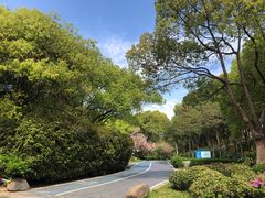 -新洲生态园