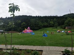 -武陵山森林公园