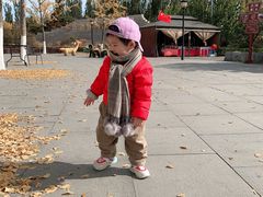 -永定河休闲森林公园