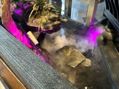-東大方(武康千秋广场店)