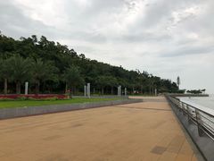 -野狸岛