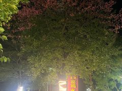 -罗浮山·罗园农庄