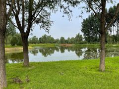 -东郊湿地公园