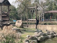 -上海野生动物园