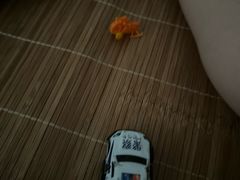 -苏州海洋馆